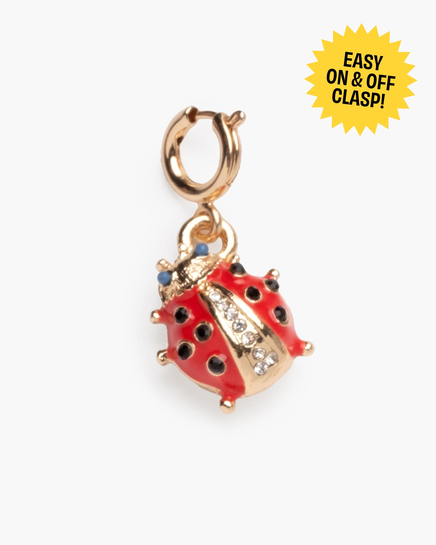 Lucky Ladybug Super Charm