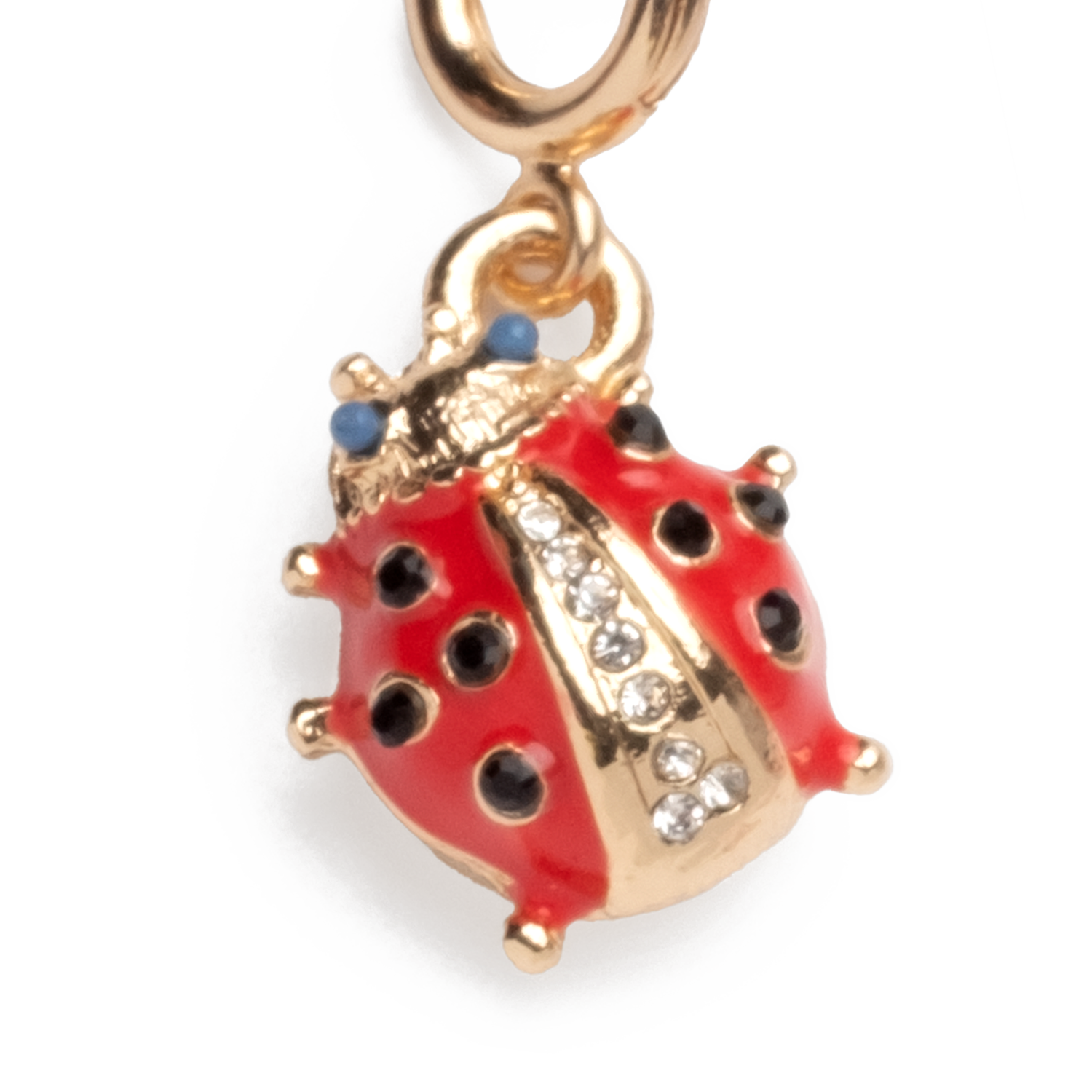 Lucky Ladybug Super Charm